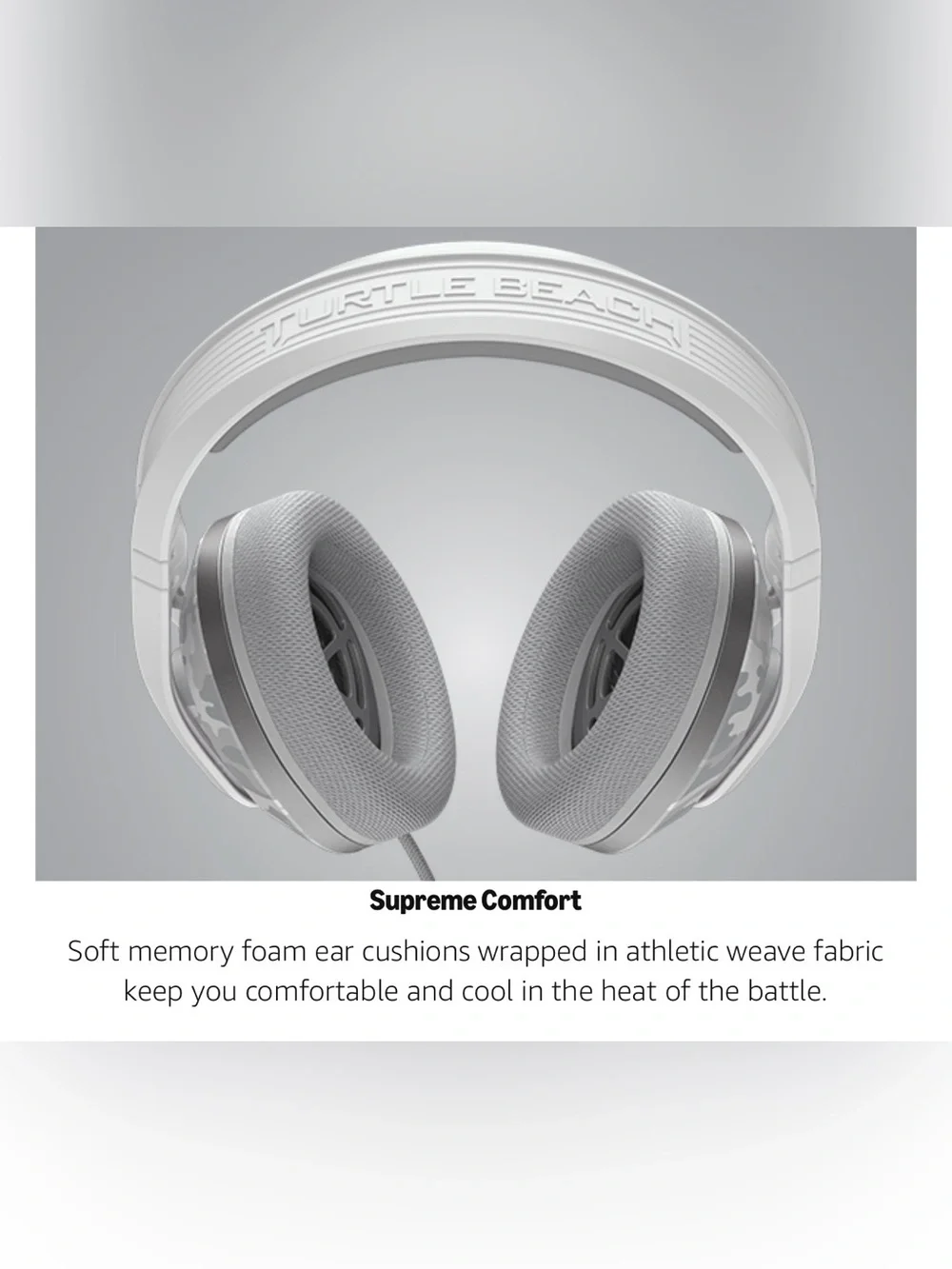 Turtle Beach turtle beach